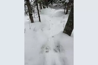 Xx10 Lavaque Road, Duluth, MN 55802 - Photo 14