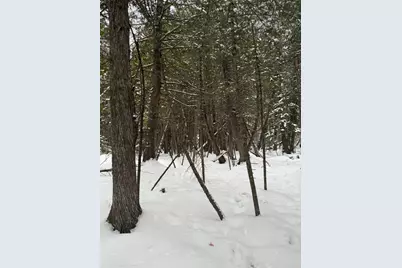 Xx10 Lavaque Road, Duluth, MN 55802 - Photo 8