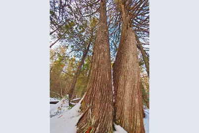 Xx40 Lavaque Road, Duluth, MN 55802 - Photo 4