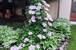 8865 Mississippi Blvd NW, Coon Rapids, MN 55433 - Photo 28