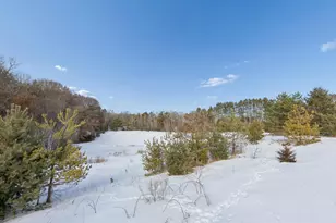 26036 24th St W, Zimmerman, MN 55398 - Photo 38