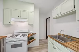 613 W 38th St, Minneapolis, MN 55409 - Photo 10