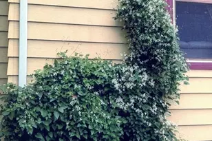 34 S Terrace N, Fargo, ND 58102 - Photo 58