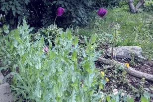 34 S Terrace N, Fargo, ND 58102 - Photo 52