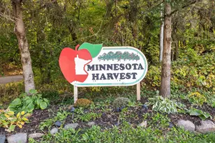 968 Stone Creek Dr., Jordan, MN 55352 - Photo 38