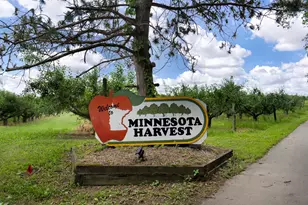 1281 Edge Wy, Jordan, MN 55352 - Photo 22