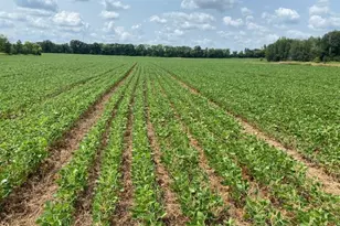 Tbd 160th St, Foreston, MN 56330 - Photo 1