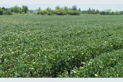 Tbd 160th St., Foreston, MN 56330 - Photo 2