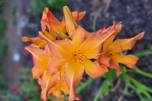 6789 401st St, North Branch, MN 55056 - Photo 34