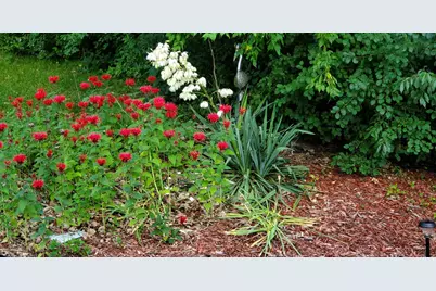 6789 401st Street, North Branch, MN 55056 - Photo 40