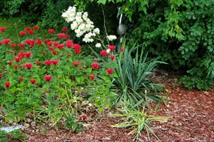 6789 401st St, North Branch, MN 55056 - Photo 40