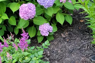 6789 401st St, North Branch, MN 55056 - Photo 36