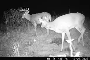 14379 Chestnut Rd, Milaca, MN 56353 - Photo 50