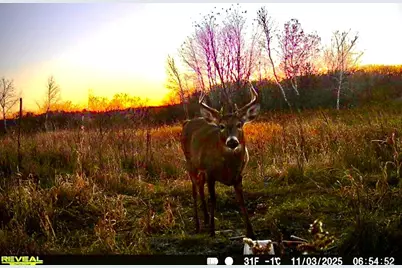 14379 Chestnut Road, Milaca, MN 56353 - Photo 38