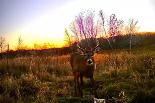 14379 Chestnut Rd, Milaca, MN 56353 - Photo 38