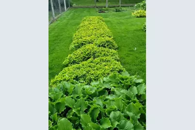 8020 122nd Lane N, Champlin, MN 55316 - Photo 32