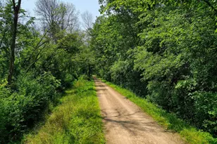 6013 County Rd 6, Independence, MN 55359 - Photo 32