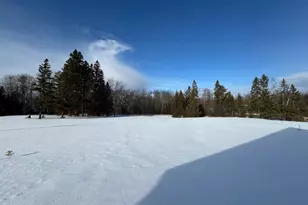 11290 Hwy 1, Northome, MN 56661 - Photo 4