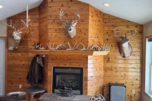 11290 Hwy 1, Northome, MN 56661 - Photo 10