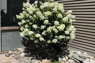 832 Deerfield Rd, Watertown, MN 55388 - Photo 64