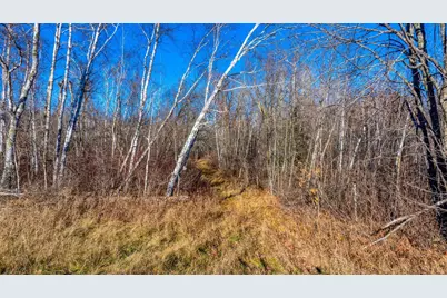Tbd Gillman Road NE, Puposky, MN 56667 - Photo 2