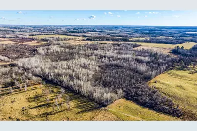 Tbd Gillman Road NE, Puposky, MN 56667 - Photo 6