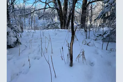 Tbd 161st Avenue, Clearbrook, MN 56634 - Photo 38