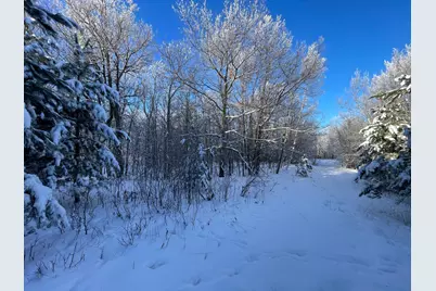 Tbd 161st Avenue, Clearbrook, MN 56634 - Photo 50