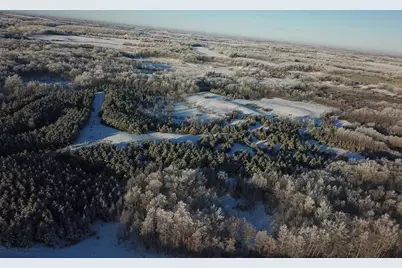 Tbd 161st Avenue, Clearbrook, MN 56634 - Photo 4