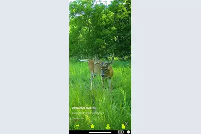 Tbd 161st Avenue, Clearbrook, MN 56634 - Photo 32