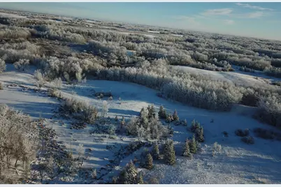 Tbd 161st Avenue, Clearbrook, MN 56634 - Photo 14