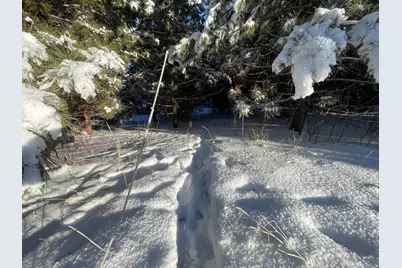 Tbd 161st Avenue, Clearbrook, MN 56634 - Photo 36