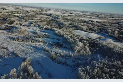 Tbd 161st Avenue, Clearbrook, MN 56634 - Photo 8