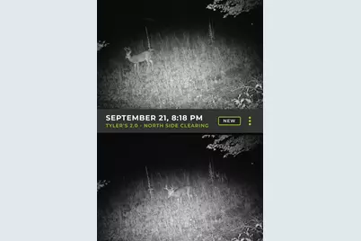 6818 460th Street, Harris, MN 55032 - Photo 14