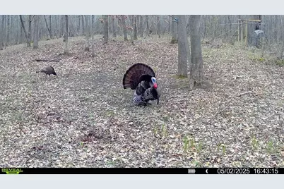 6818 460th Street, Harris, MN 55032 - Photo 10