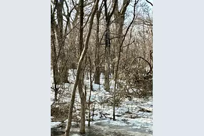 Tbd 270th Street, Clarks Grove, MN 56016 - Photo 24