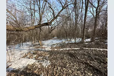 Tbd 270th Street, Clarks Grove, MN 56016 - Photo 14