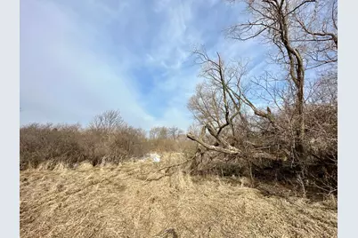 Tbd 270th Street, Clarks Grove, MN 56016 - Photo 34