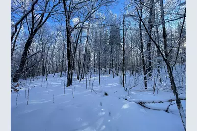 Tbd1 161st Avenue, Clearbrook, MN 56634 - Photo 42