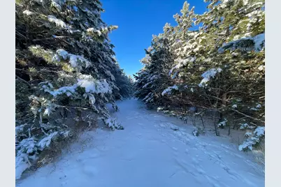 Tbd1 161st Avenue, Clearbrook, MN 56634 - Photo 34