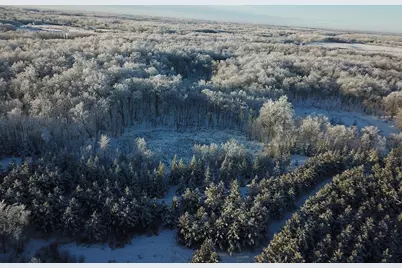 Tbd1 161st Avenue, Clearbrook, MN 56634 - Photo 6