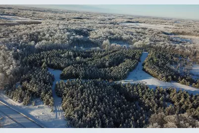 Tbd1 161st Avenue, Clearbrook, MN 56634 - Photo 4