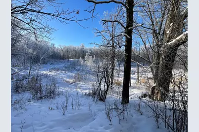 Tbd1 161st Avenue, Clearbrook, MN 56634 - Photo 52