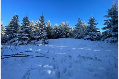 Tbd1 161st Avenue, Clearbrook, MN 56634 - Photo 60