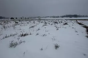 Tbd 395th, Dent, MN 56528 - Photo 1