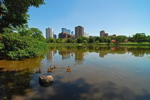 317 Groveland Ave, Minneapolis, MN 55403 - Photo 64