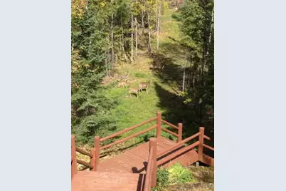 2450 Keyes Island, International Falls, MN 56649 - Photo 20