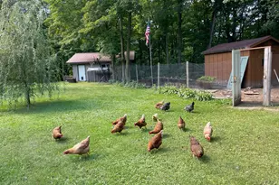 2226 150th St, Milltown, WI 54858 - Photo 38