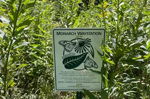 2226 150th St, Milltown, WI 54858 - Photo 34