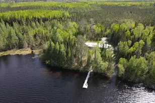 52852 Brush Shanty Lake Rd, Bigfork, MN 56628 - Photo 46